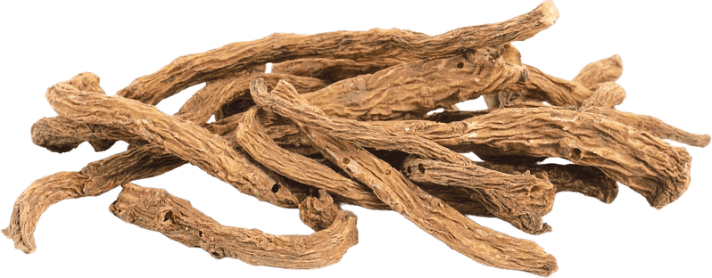 GoldAlign root