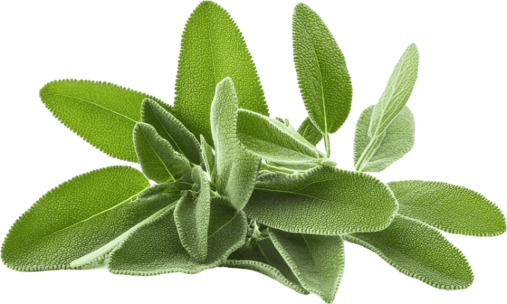 GoldAlign sage